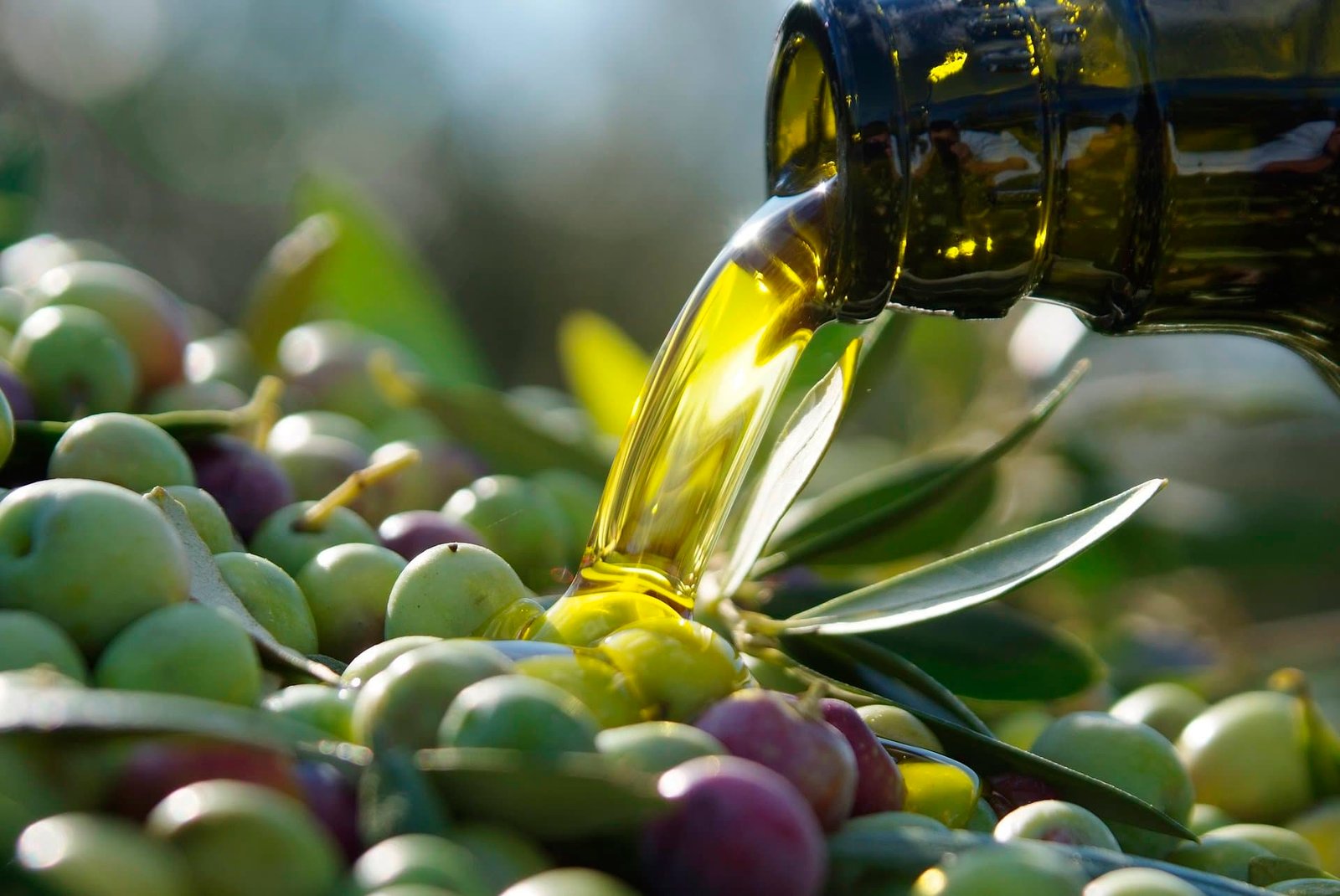 Health 9 Oil as a health element