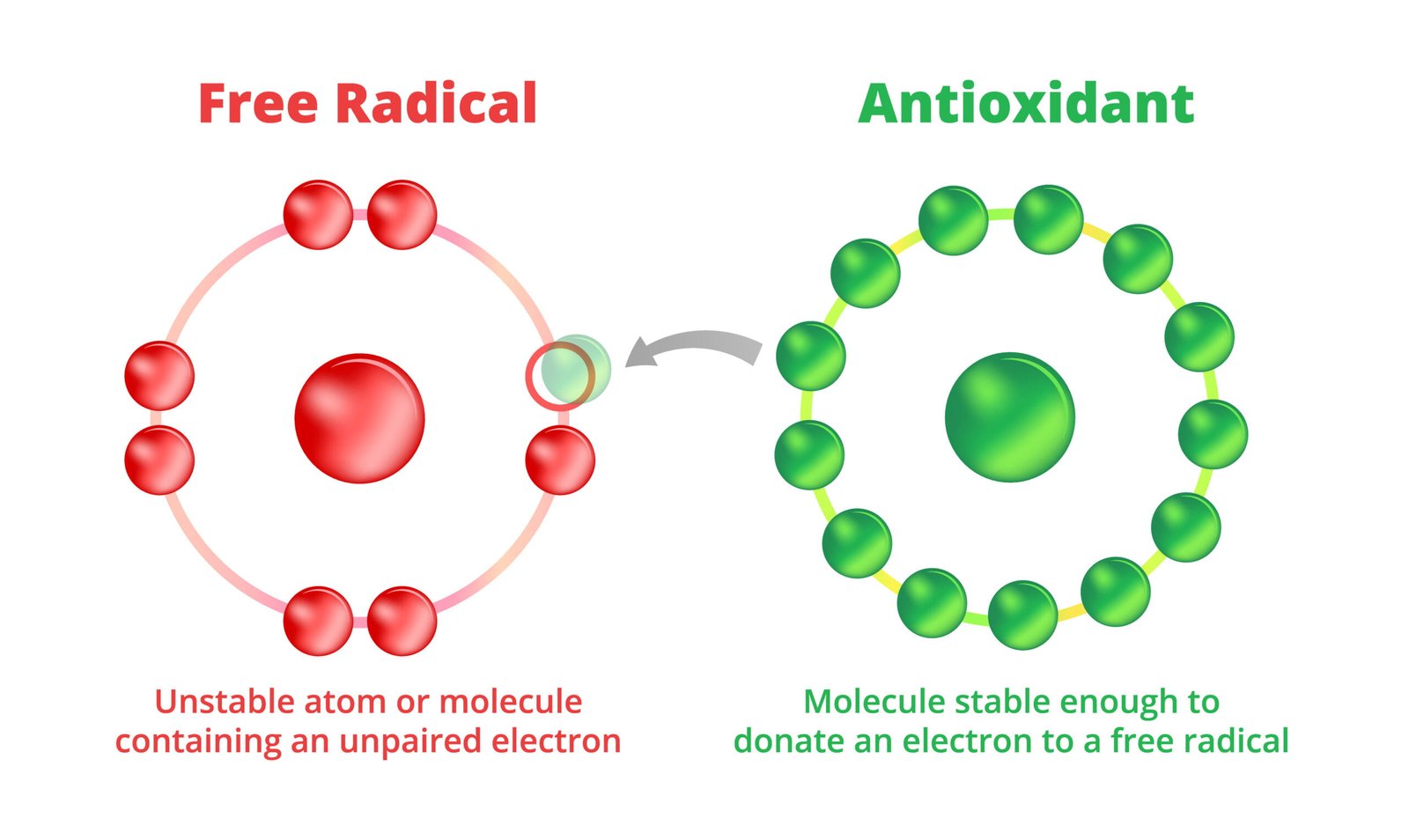 Vitamin E (also in extra virgin olive oil), the great ally of anti-aging. 2 Neutralization of free radicals by antioxidants