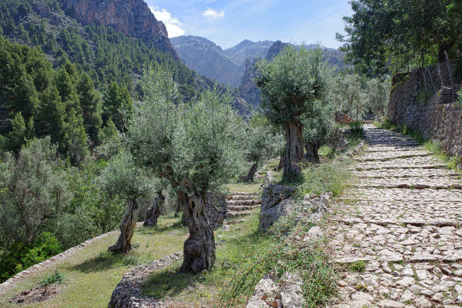 Biniaraix, uno de los pueblos más bellos de España 2 Barranco de Biniaraix