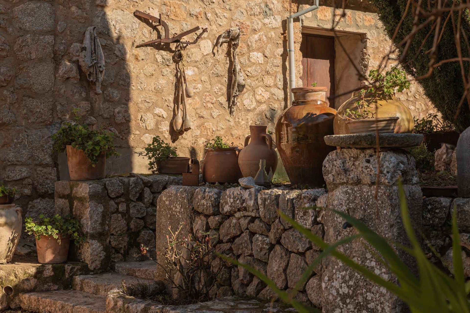 Olive oil culture 1 Street in Biniaraix