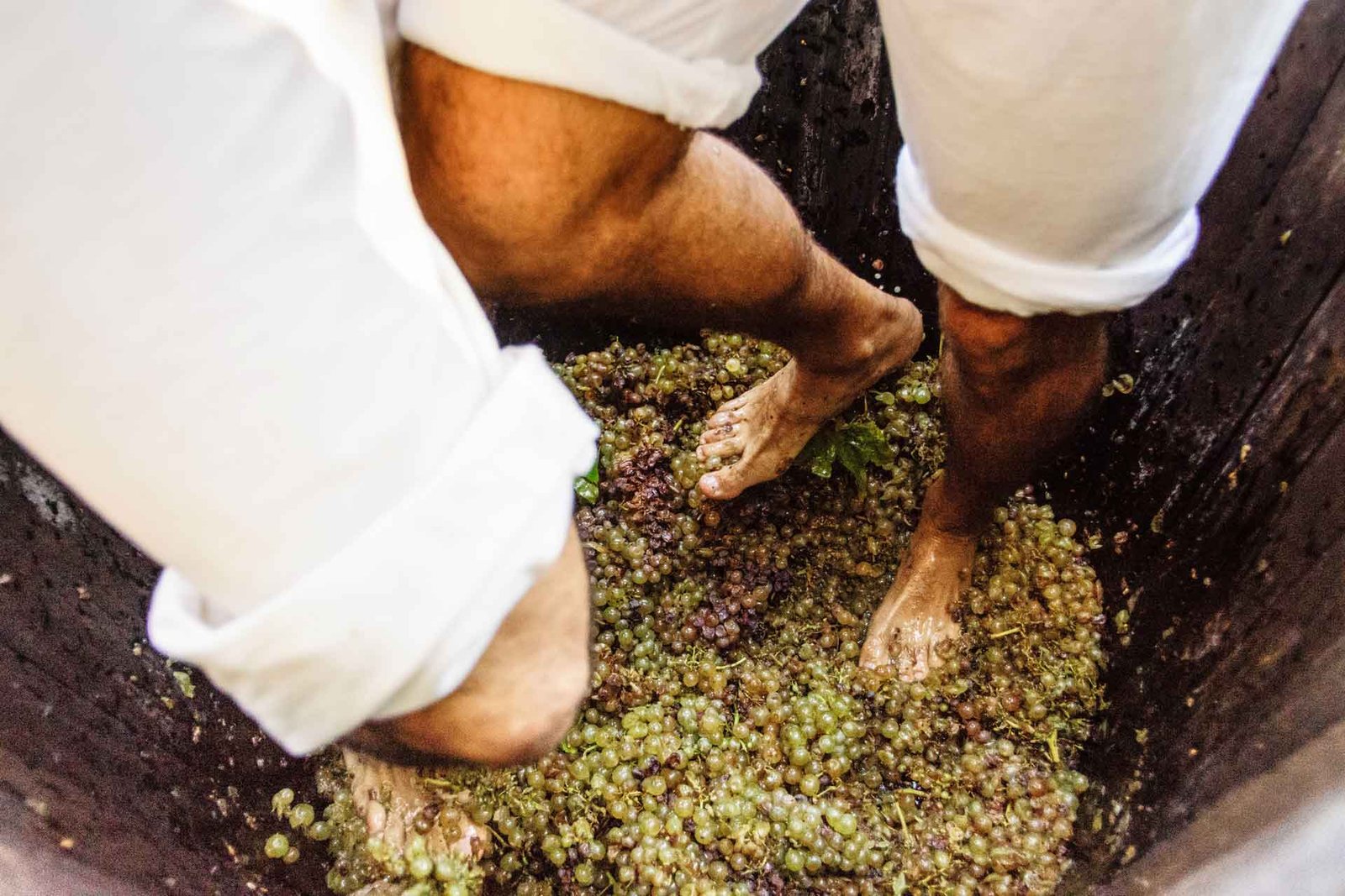 Olive oil culture 8 Festa de's Vermar, grape stomping contest