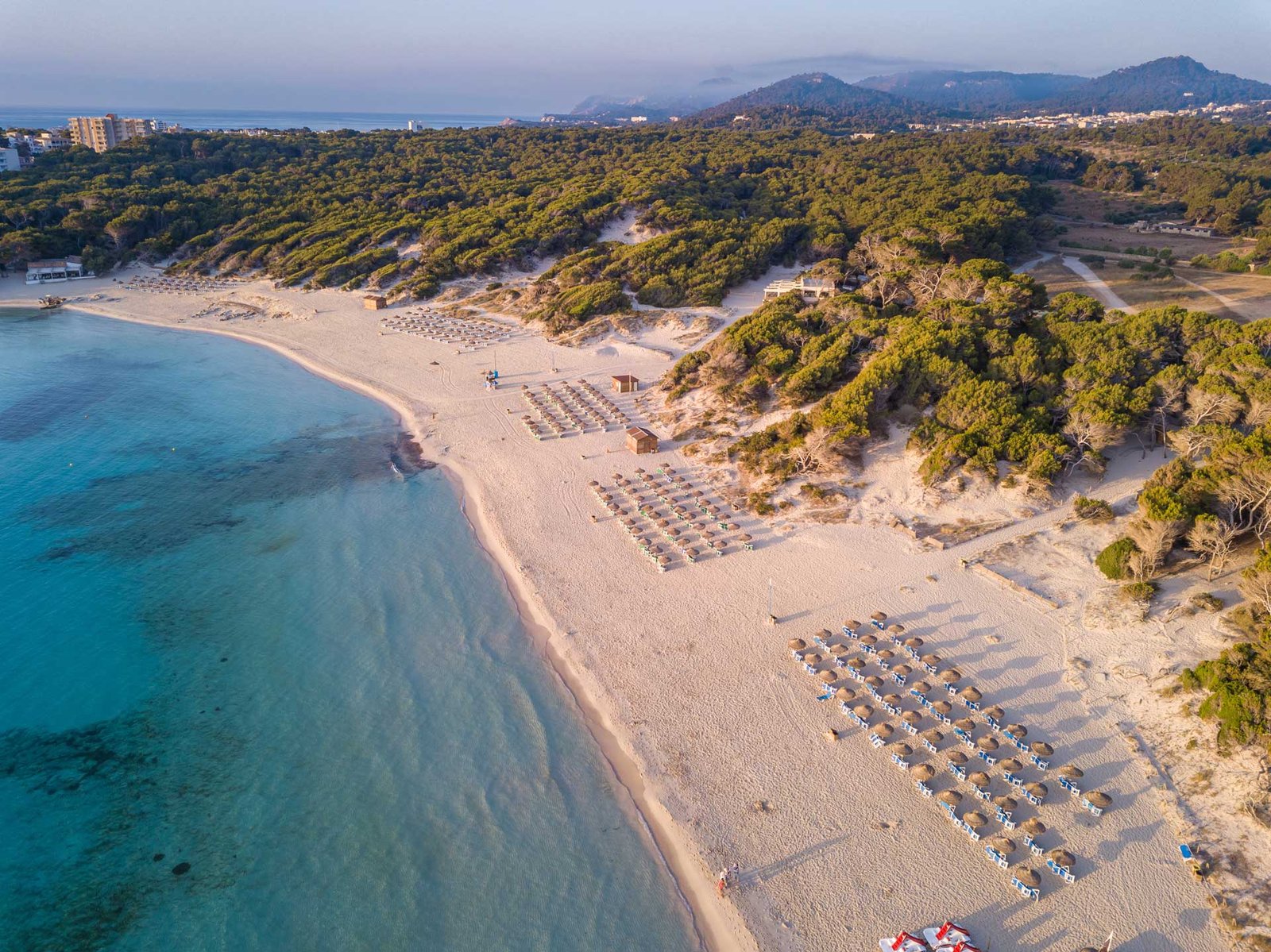 Cala Agulla: Naturaleza virgen y cultura local en el noreste de Mallorca 4 Cala Agulla, Mallorca