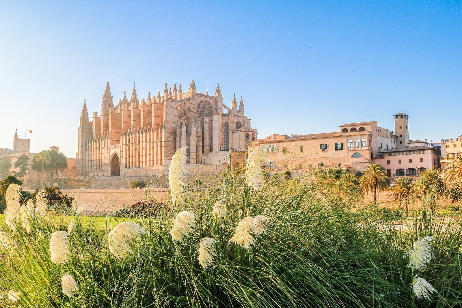 ¿Qué hacer en Mallorca? Los 5 planes más auténticos. 1 Catedral de Palma, uno de los monumentos que ver en Mallorca