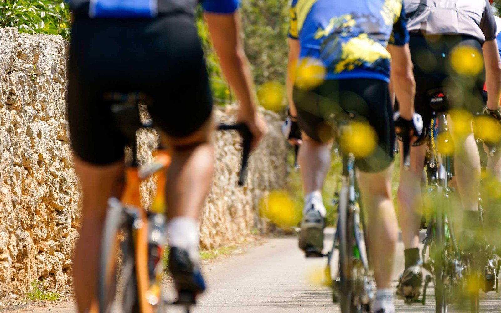 Olive oil culture 4 Cycling in Mallorca: routes, seasons and respect on the road.
