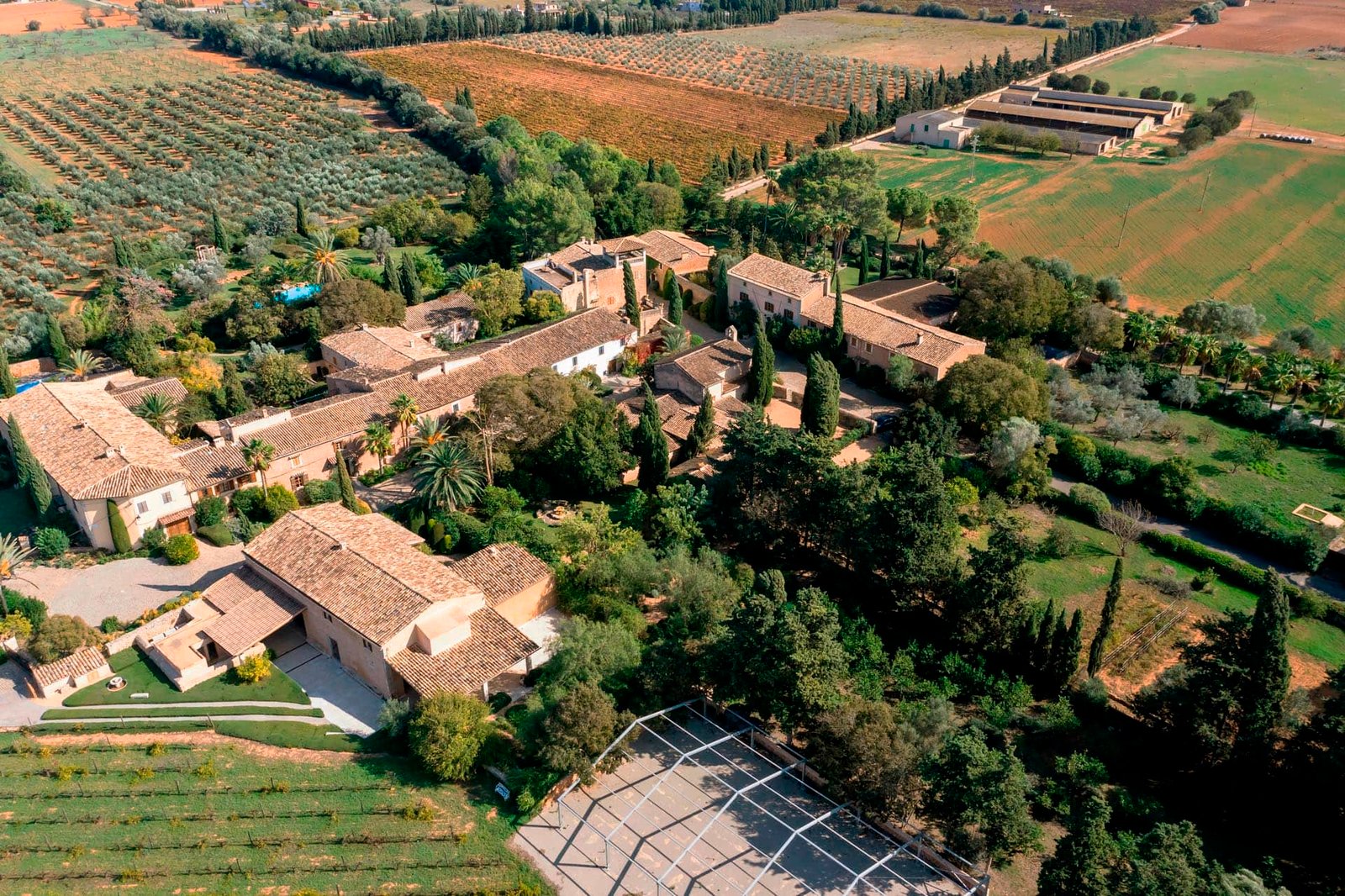 Entorno 4 Finca Biniagual - Binissalem
