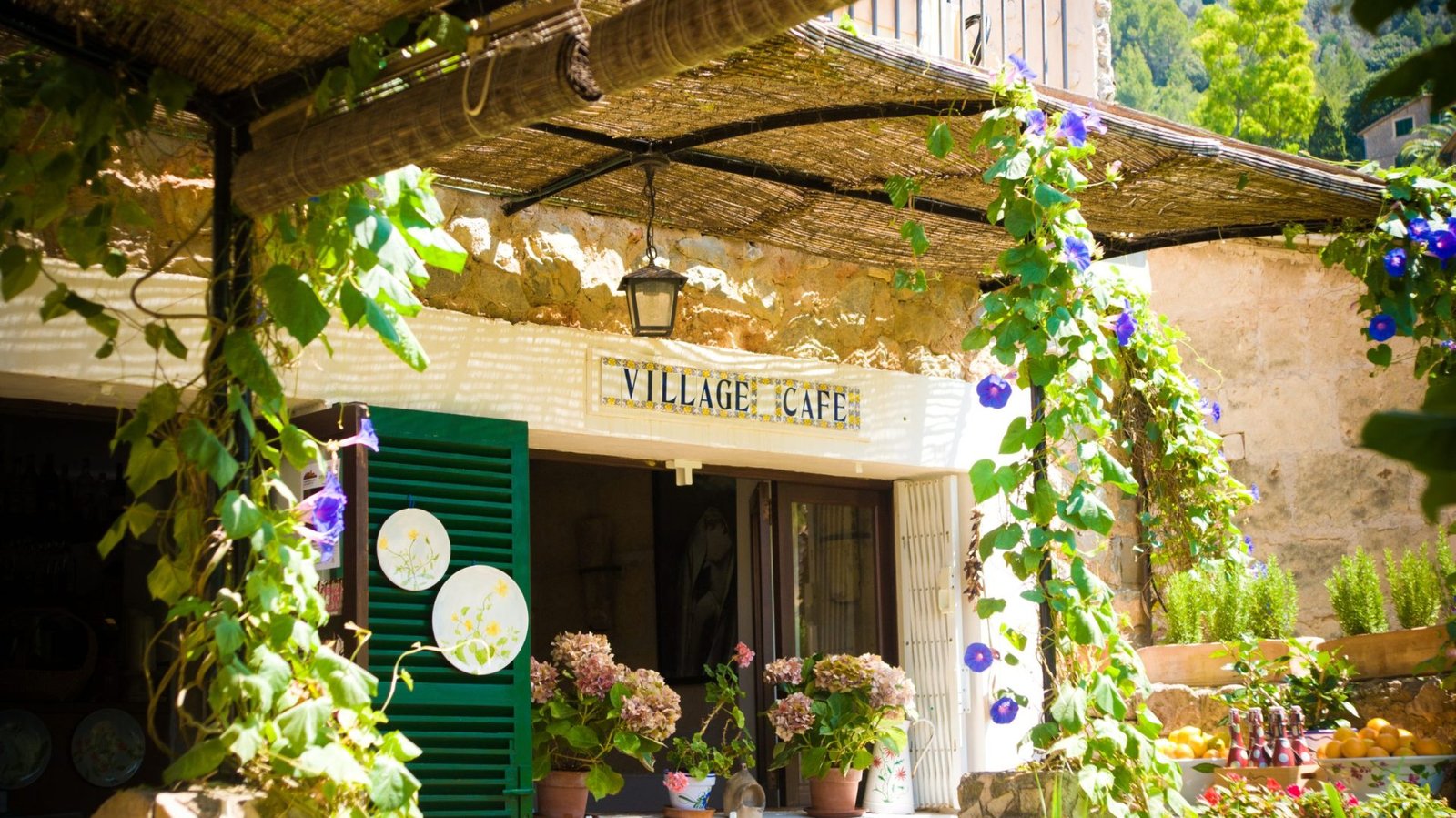 Olive oil culture 7 Café in Deià, Mallorca