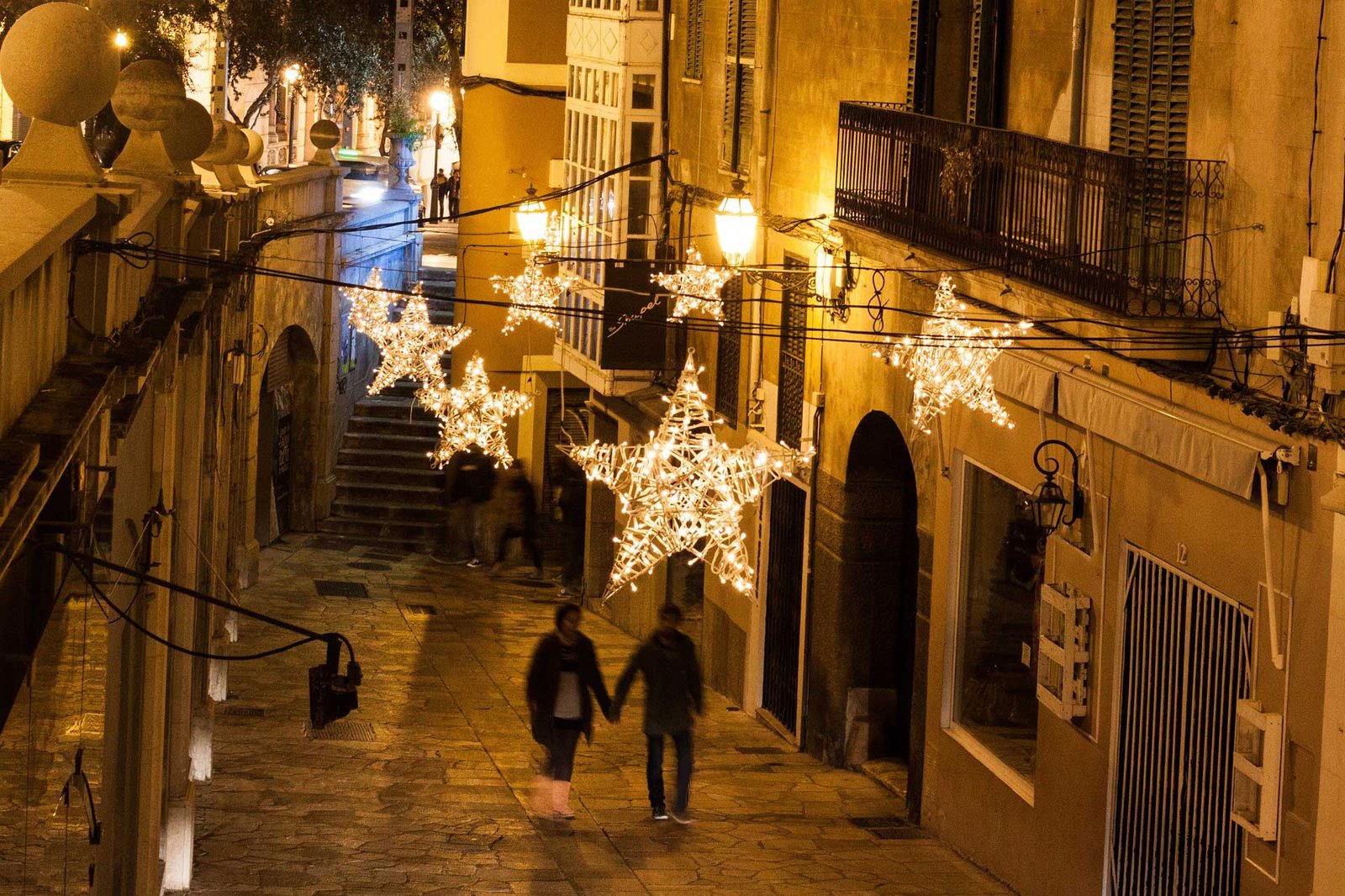 Olive oil culture 5 Mallorca en diciembre