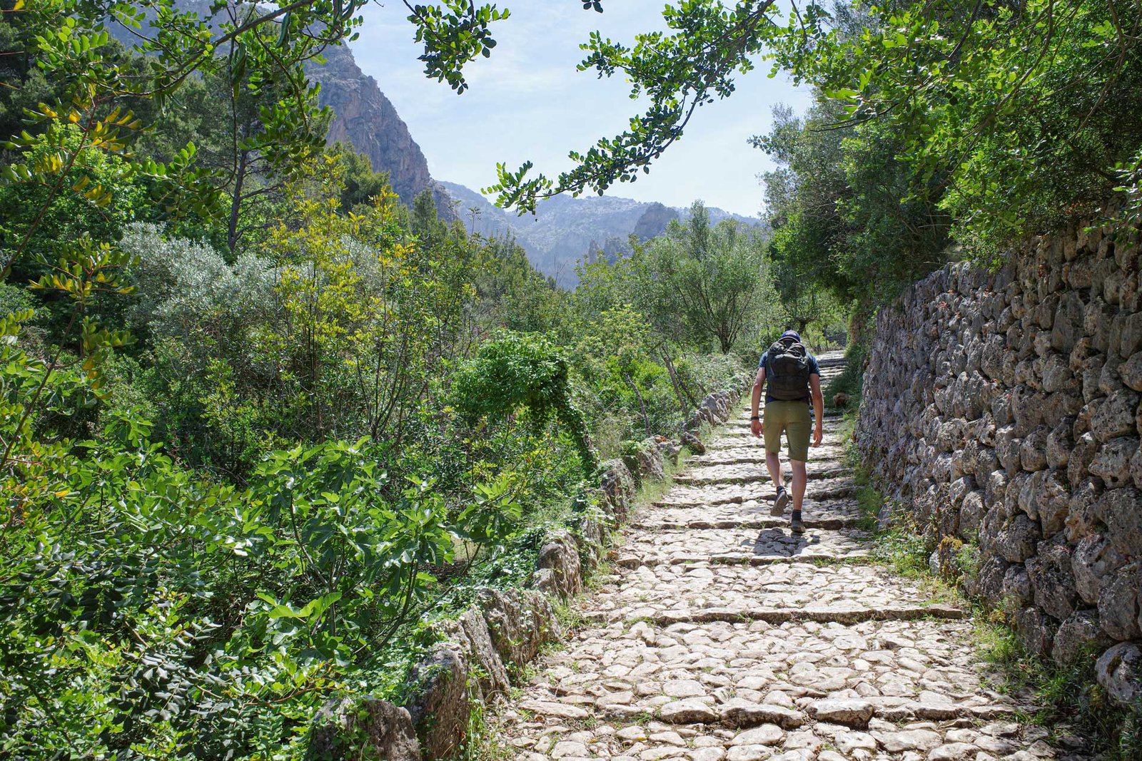 Mallorca im Juni 3 Mallorca en Junio, Senderismo