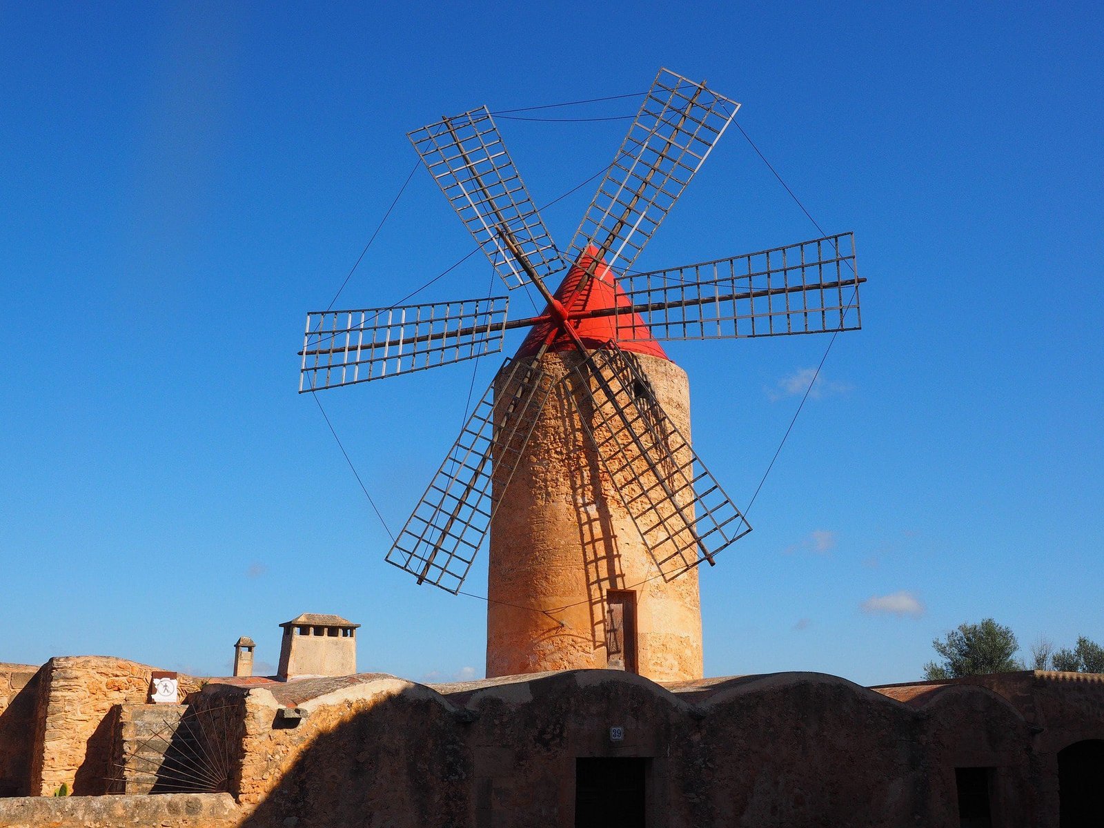 Olive oil culture 2 Pla de Mallorca