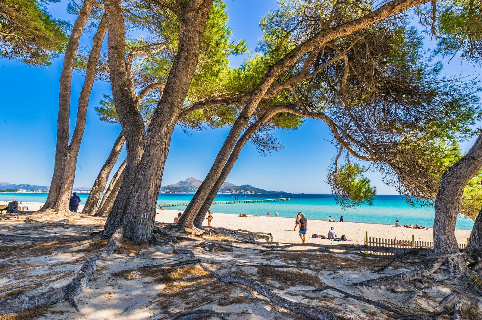 Alcúdia: the 20 best activities to enjoy to the maximum 3 Playas de Alcudia