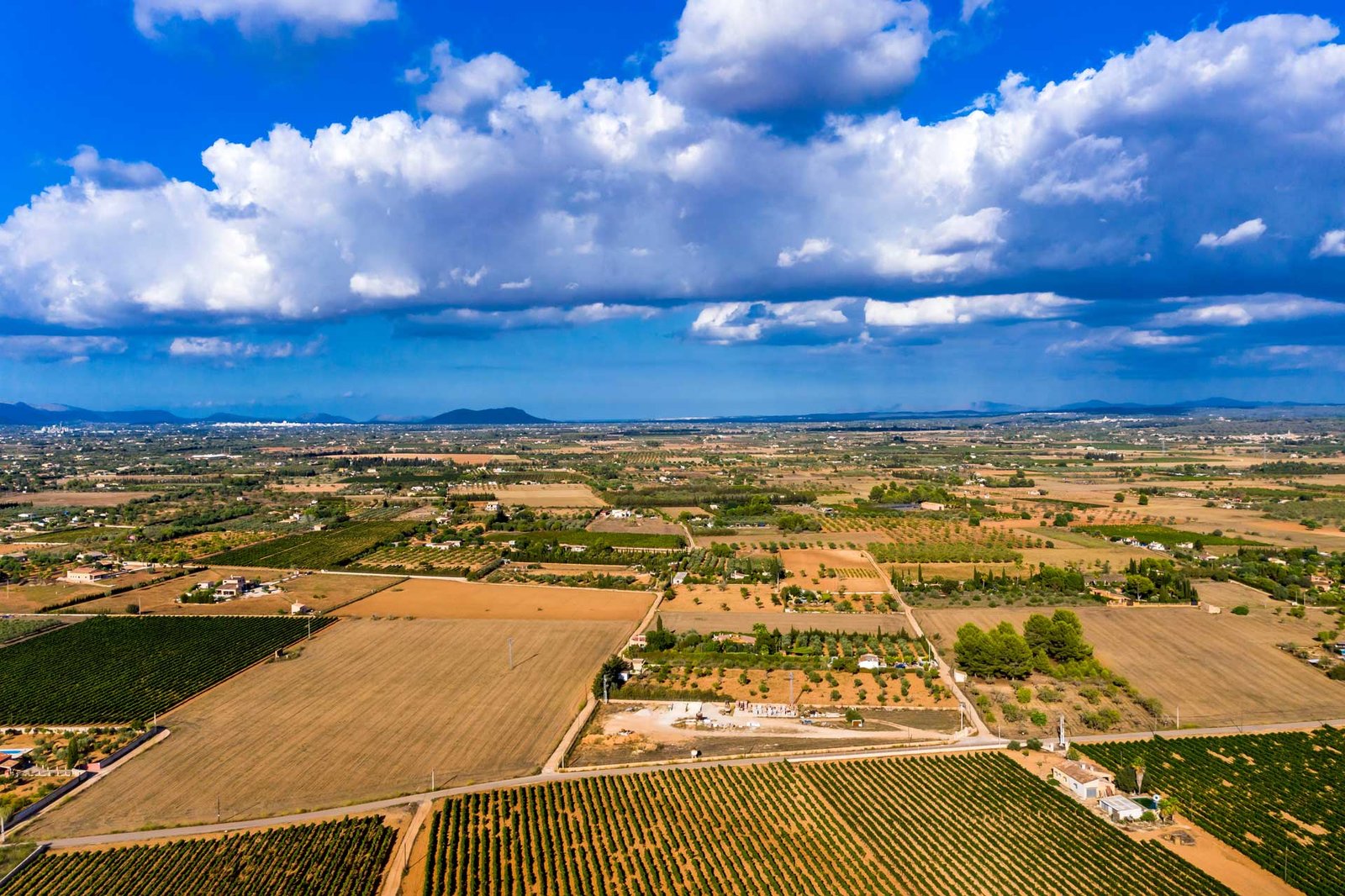 Santa Eugenia, un tesoro oculto de Mallorca 6 Santa Eugenia, Mallorca