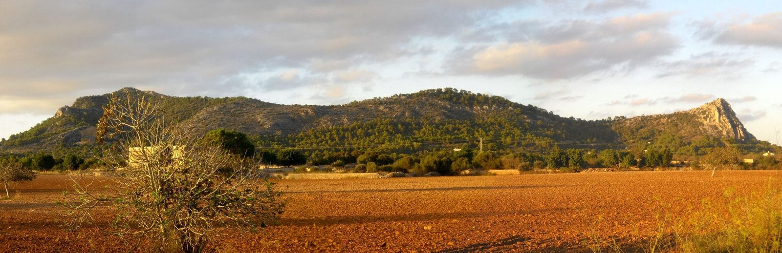 4 excursions from Algaida not to be missed 3 Excursions from Algaida - Serra de Galdent