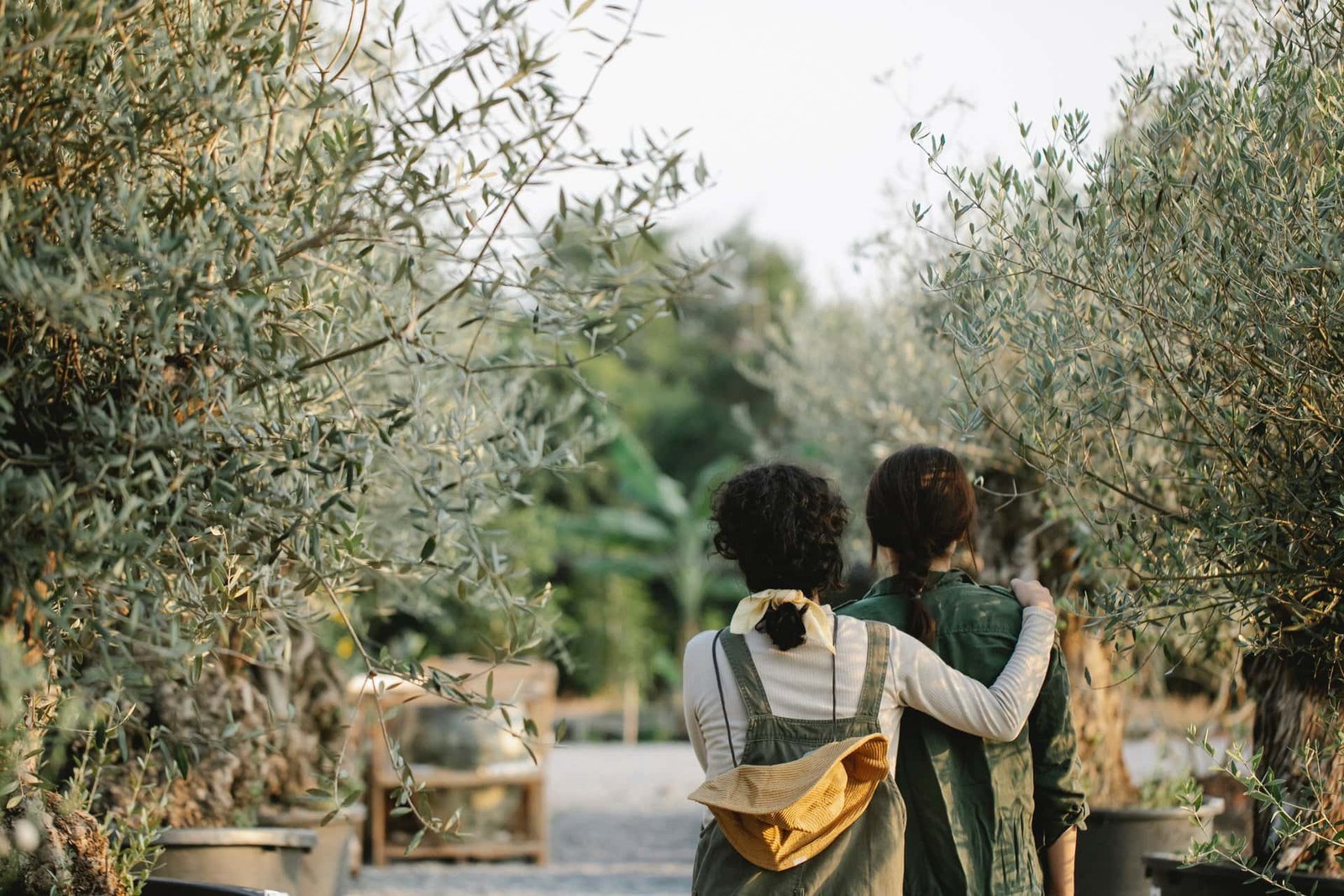 Olive oil culture 7 oleoturism in mallorca