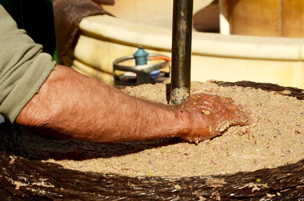 Kaltpressung von olivenoel. Olivenpaste für Öl. Kaltpressung von olivenoel. Olivenpaste für Öl.