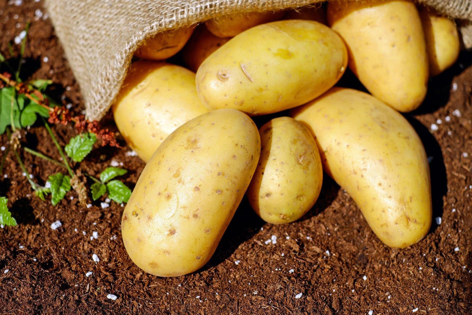 Recipes 2 2 ways to make baked potatoes